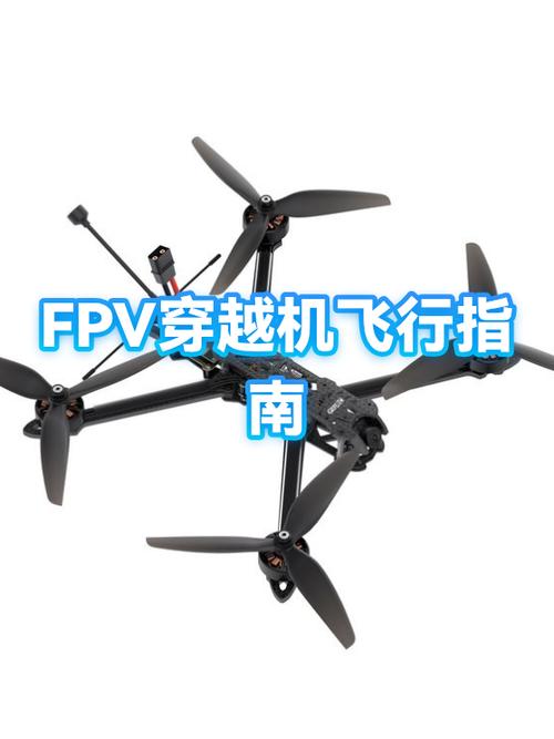 fpv是什么意思
