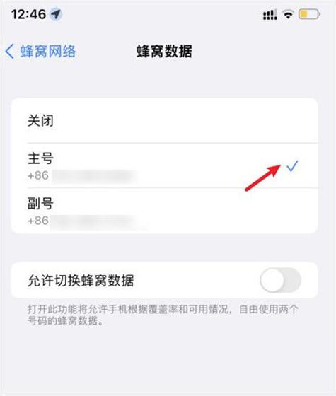 苹果双卡双待另一个卡槽在哪游戏截图
