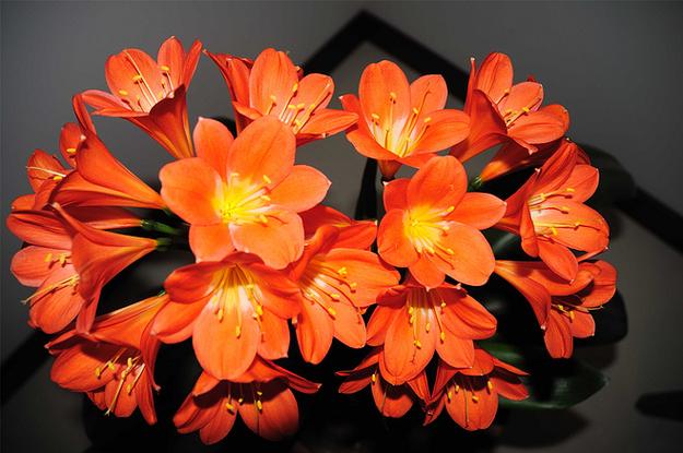 花季岁月小说免费阅读图标