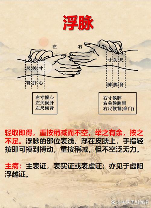 源脉是什么意思