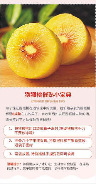 运费模板图标