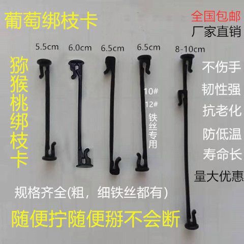 支付宝可以绑定几个银行卡