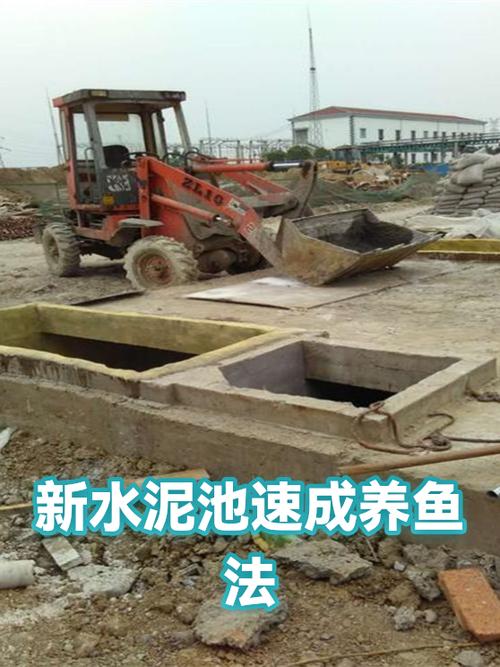 水泥池养鱼的正确方法游戏截图
