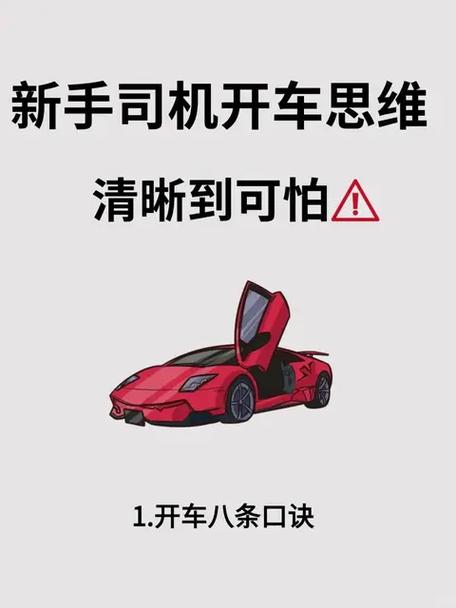 开车新手秘籍截图