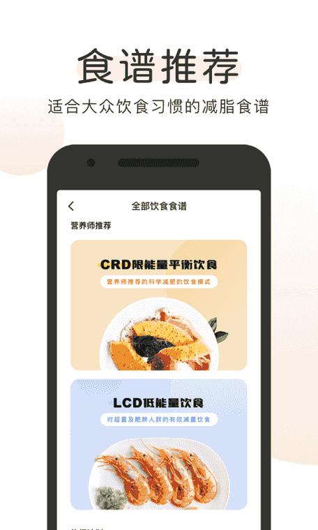 okok体脂秤app下载图标