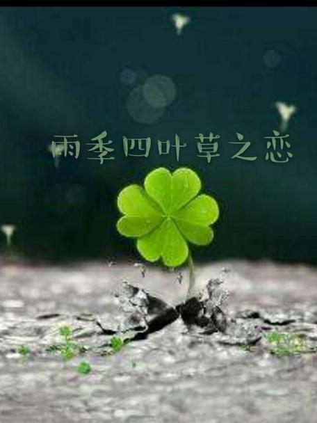 四叶草之恋