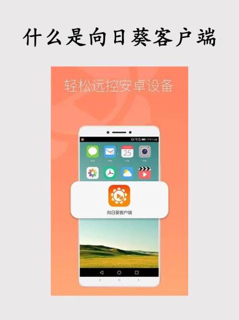 向日葵远程客户端