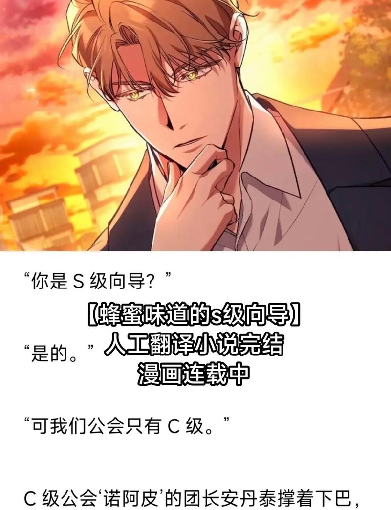共享S级向导(n)作者:txt截图