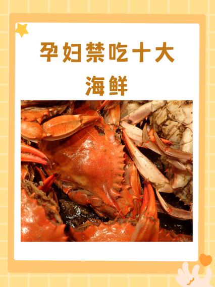 怀孕不能吃什么东西缩略图