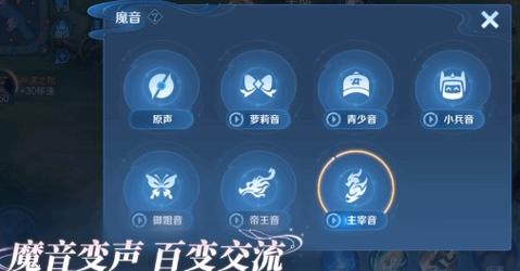 王者语音变声器破解版游戏截图