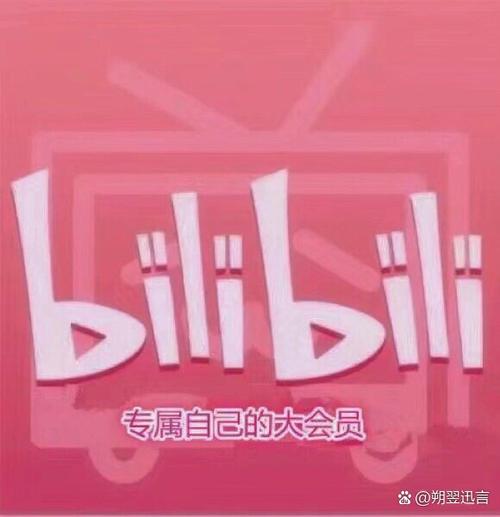 哔哩哔哩年费缩略图