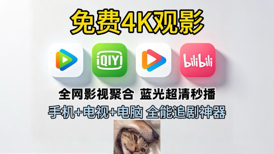 免费4k追剧缩略图