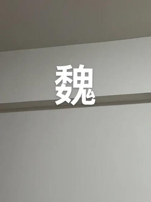 魏姓取名字大全男孩
