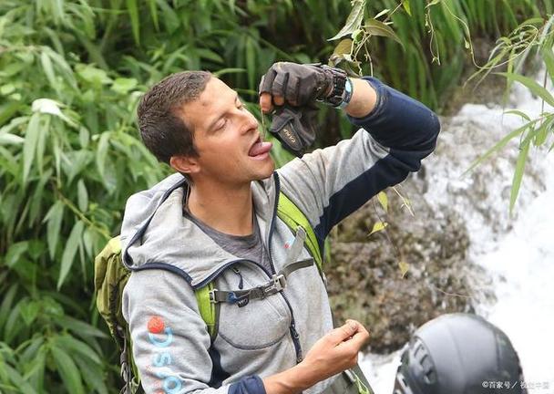 贝尔荒野求生免费观看完整版图标