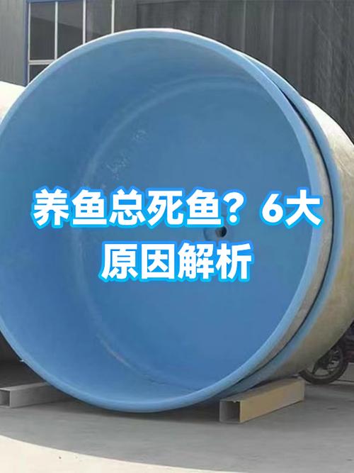 养鱼死鱼什么原因截图