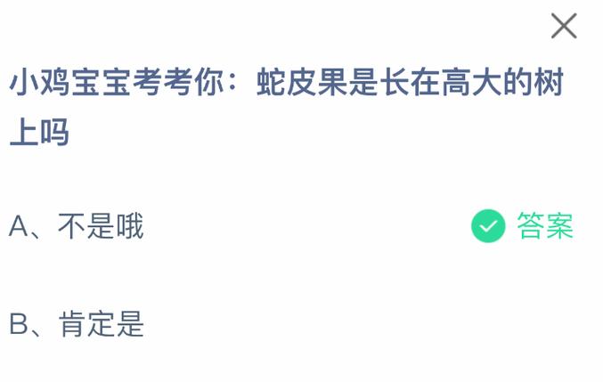 支付宝小鸡答题答案