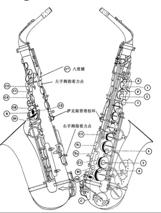 七种人不宜学萨克斯截图