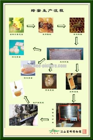 HoenyCraft下载