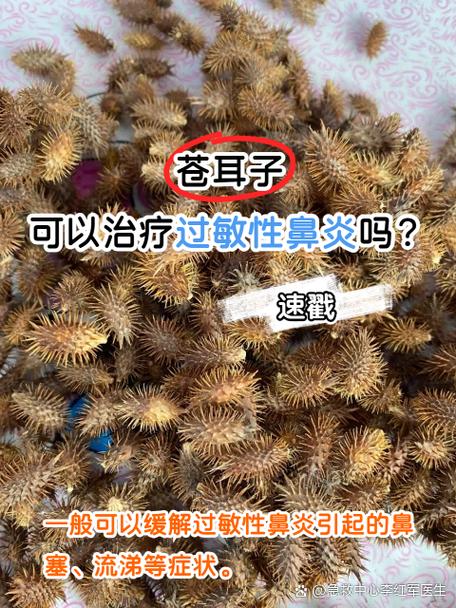 鼻塞最好的土方法图标