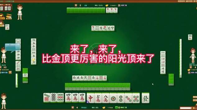 武汉麻将七皮四赖图标
