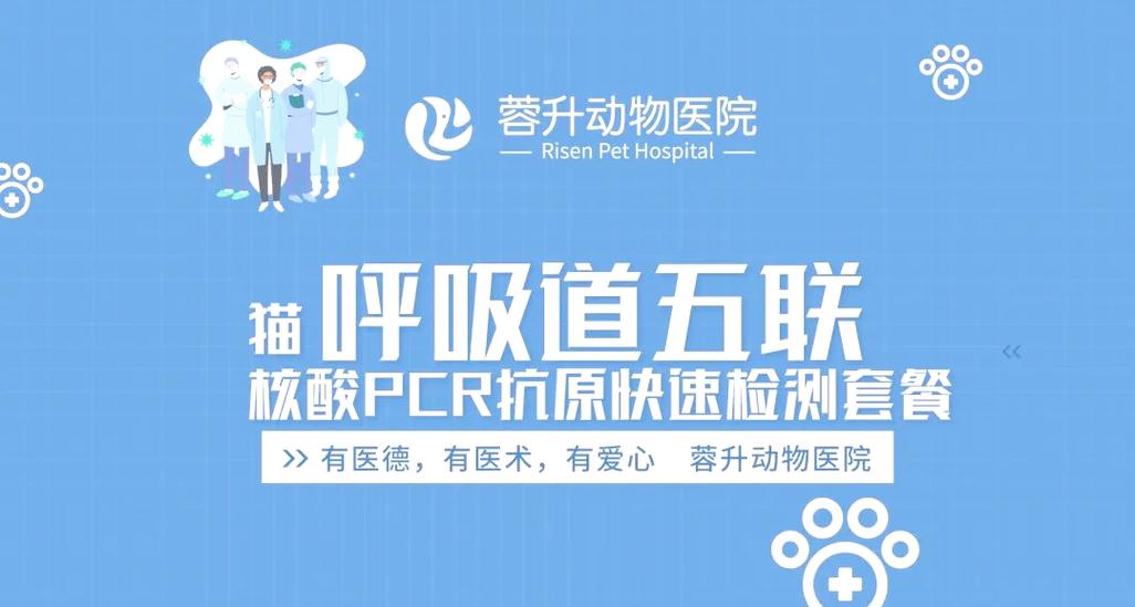 猫猫呼吸急促缩略图