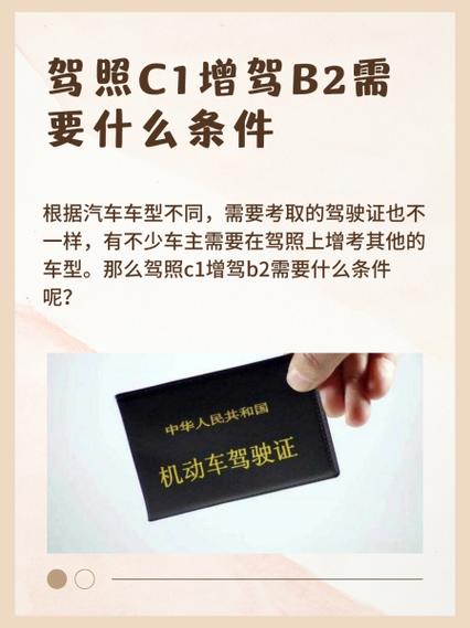 考c1驾照6000全包截图