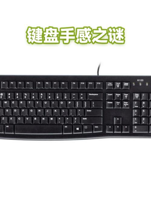 电脑输入法不能用原因缩略图