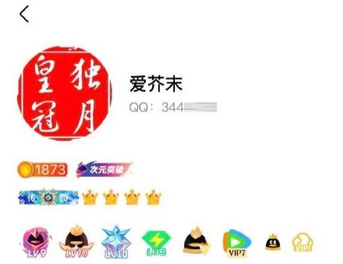 qq满级需要多少年游戏截图