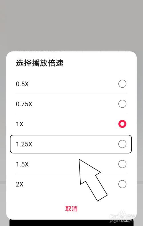 音频倍速播放