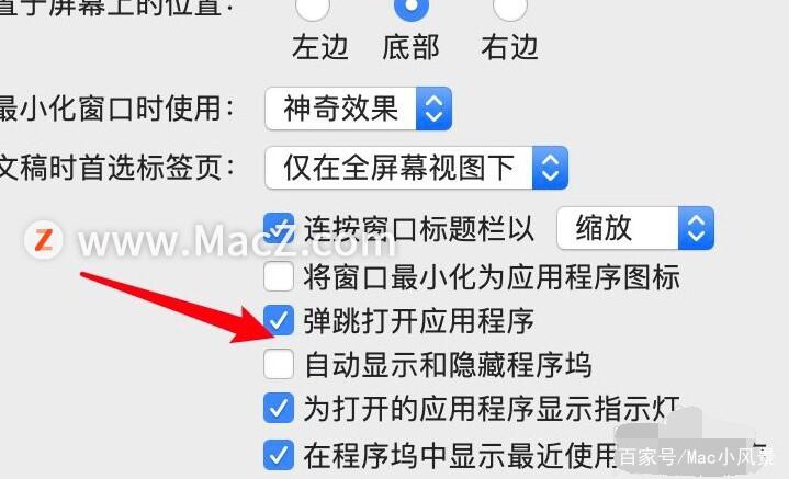 ipad程序坞透明化缩略图