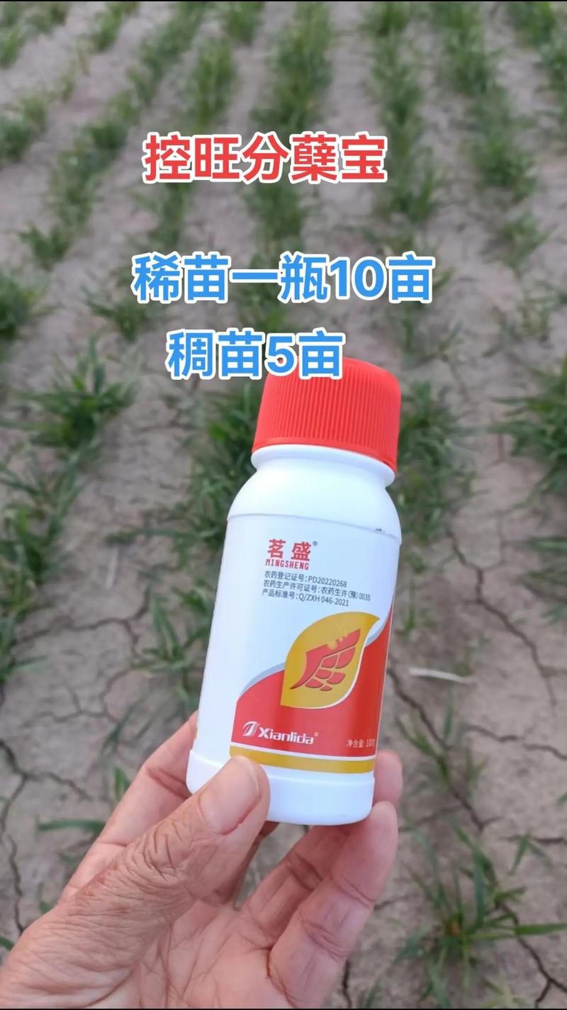中国农资化肥查询网截图