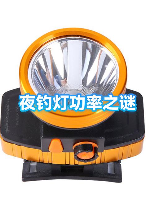 晚上鱼在岸边还是水中央