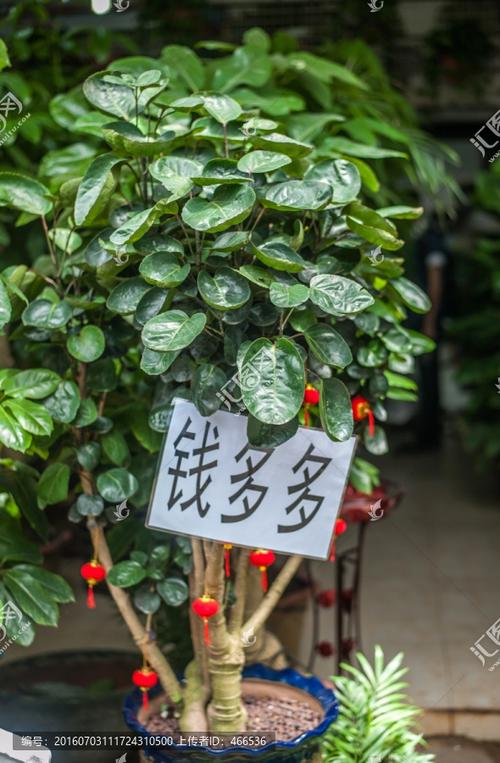 钱多多赚钱软件缩略图