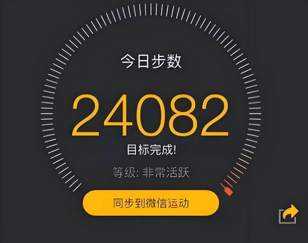 行走步数在哪里看截图