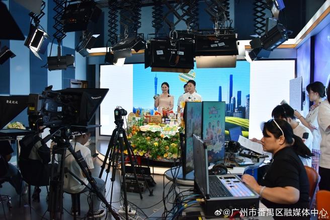 广州综合频道手机 直播缩略图