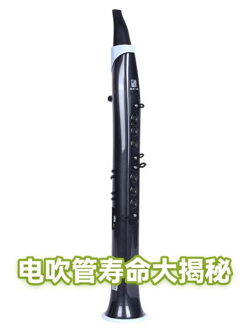 电吹管每天吹寿命多长截图