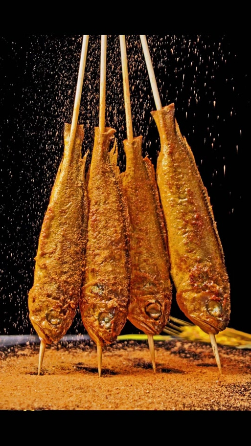 夜猫子小黄鱼图标