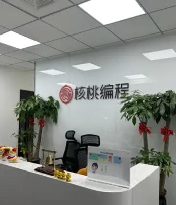 核桃编程有用吗