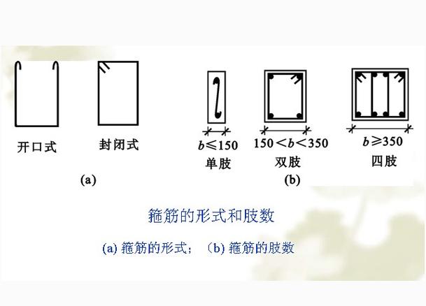 双肢箍是什么意思截图