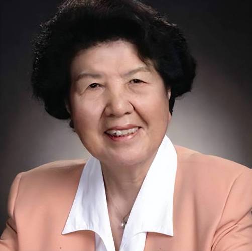 征服省委书记夫人叶辰的小说缩略图