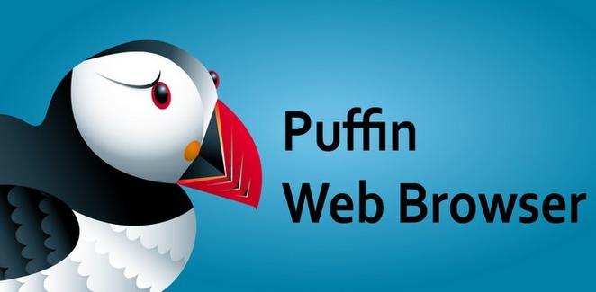 puffin浏览器官网版缩略图