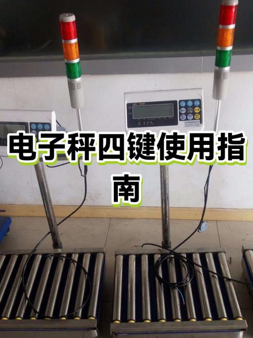 电子秤品牌排行榜前十名