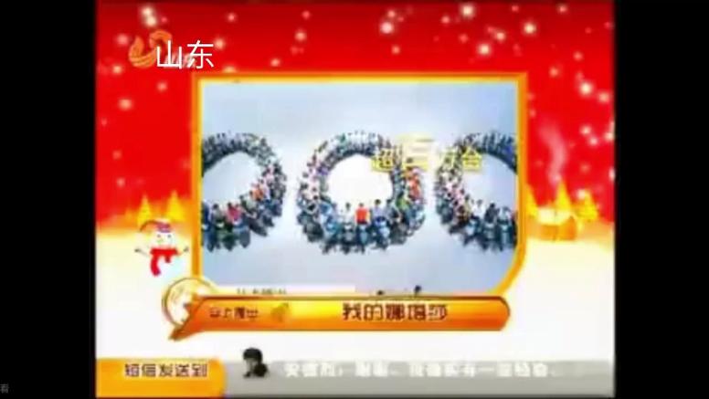 山东卫视2011图标
