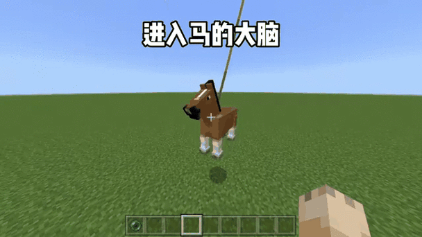 我的世界生成马的指令截图