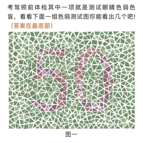 2026驾照体检色盲图