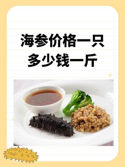野生海参多少元一只截图
