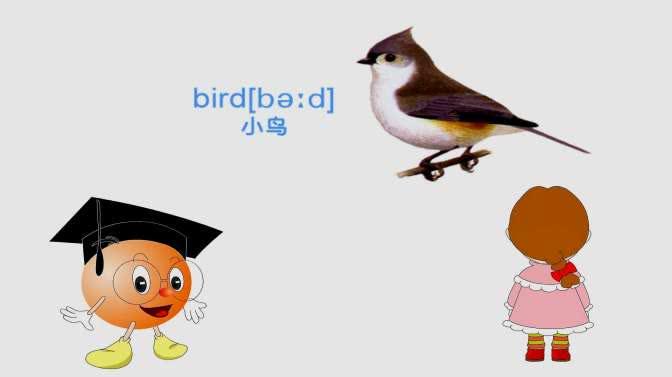 小鸟动画片图标