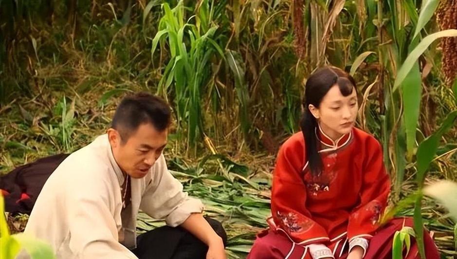 红高粱电视剧免费观看 下载游戏截图