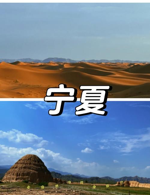 下载我的宁夏新版本截图