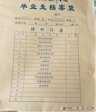 大学生免费资料网